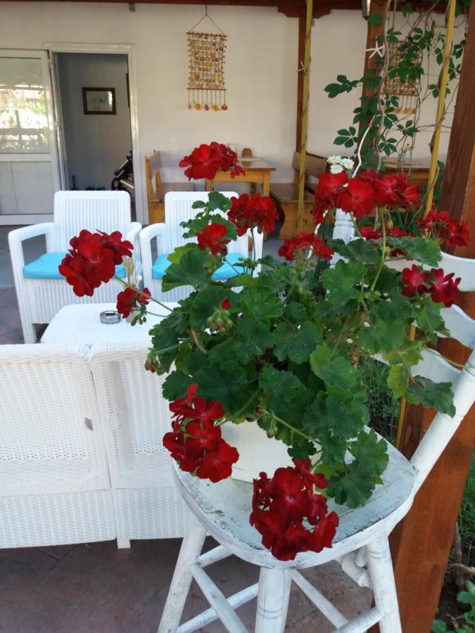 Alba Family Club Hotel Primorsko Dış mekan fotoğraf