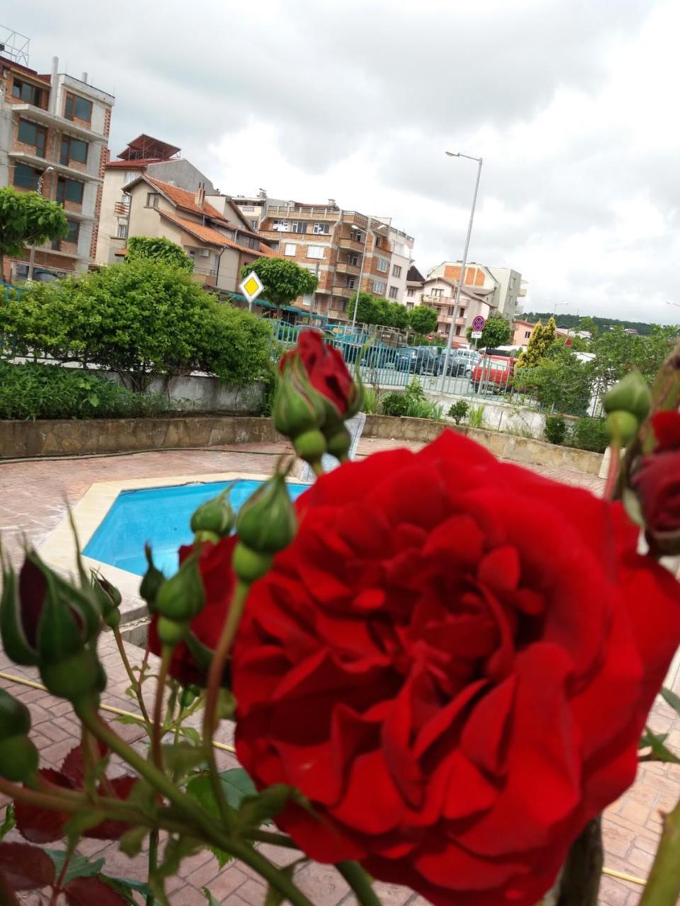 Alba Family Club Hotel Primorsko Dış mekan fotoğraf