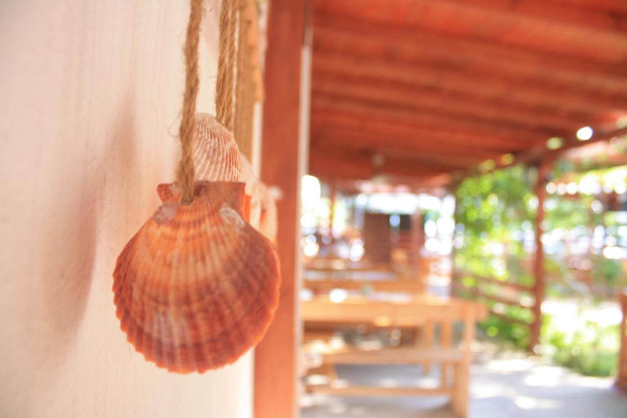 Alba Family Club Hotel Primorsko Dış mekan fotoğraf