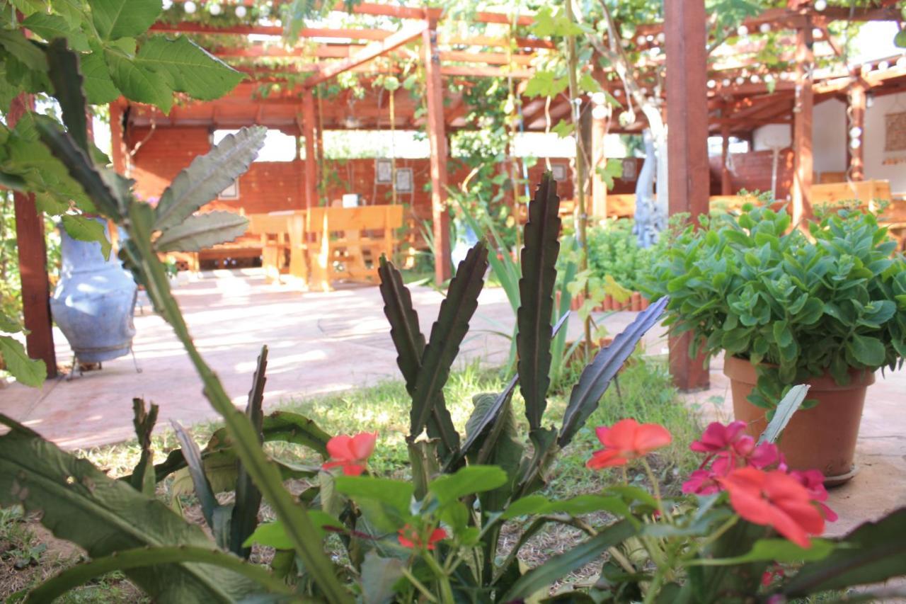 Alba Family Club Hotel Primorsko Dış mekan fotoğraf