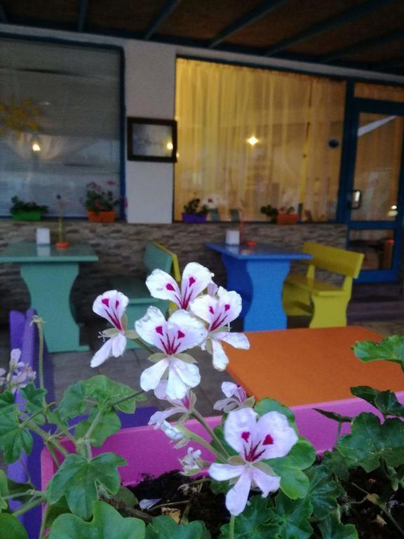 Alba Family Club Hotel Primorsko Dış mekan fotoğraf